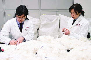进口棉花的品质检验标准