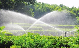 棉花灌溉水质要求与水源选