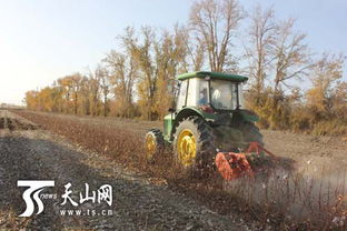 种植棉花能提高土壤肥力的